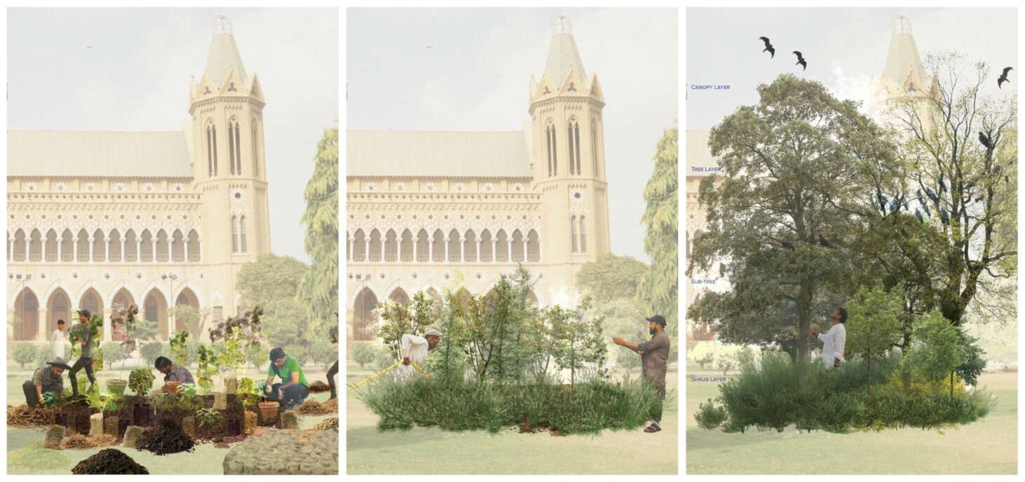 P3urban forest phases render images