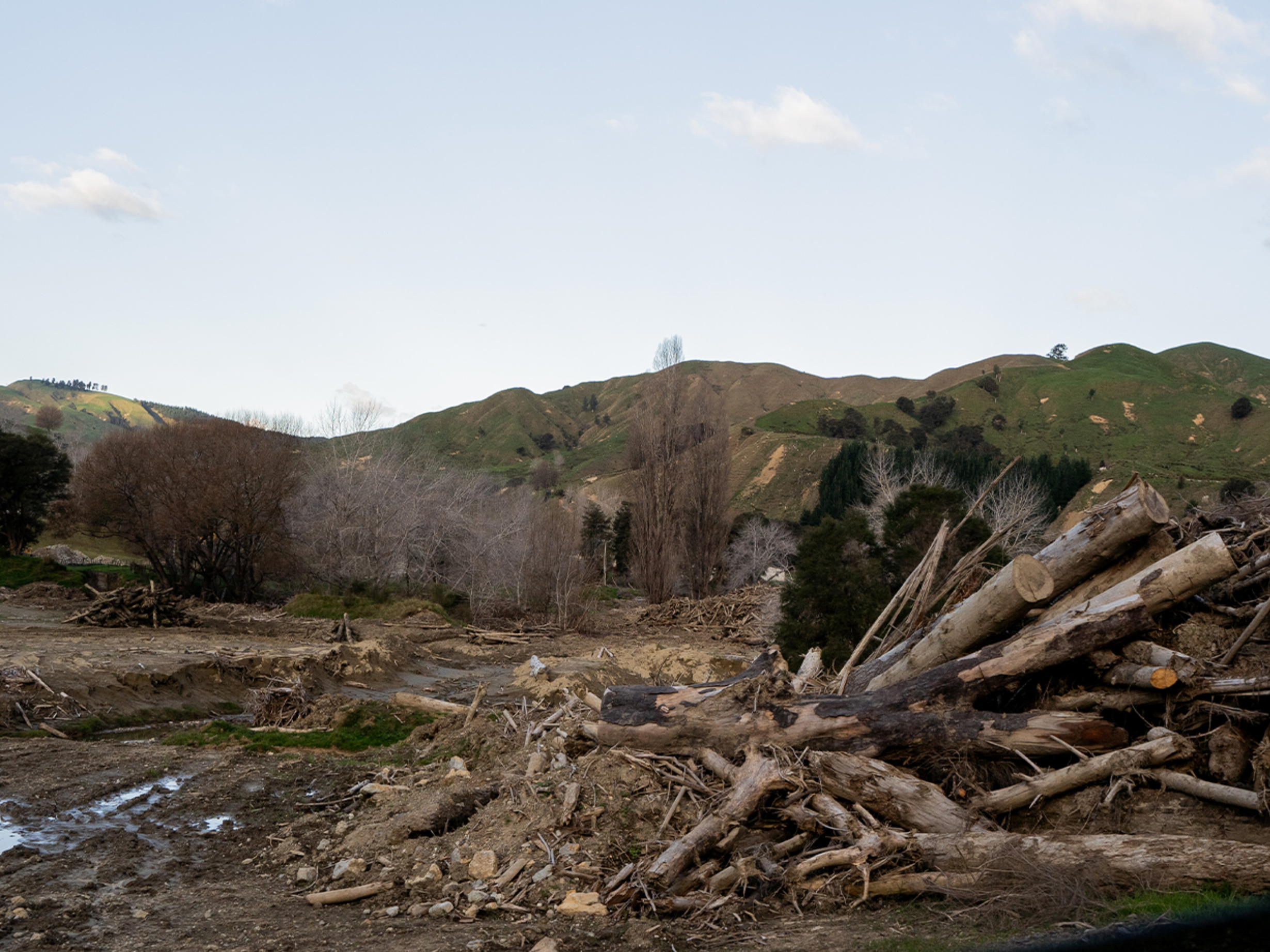 The destruction caused by Cyclone Gabrielle near Hiwiroa provided a darkly inspiring sense of urgency for this body of work.